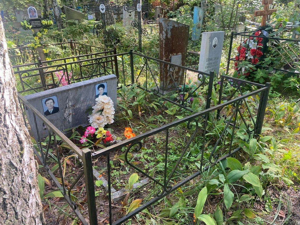 Самойлова Анна Андреевна