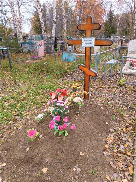 Шапоткин Александр Александрович