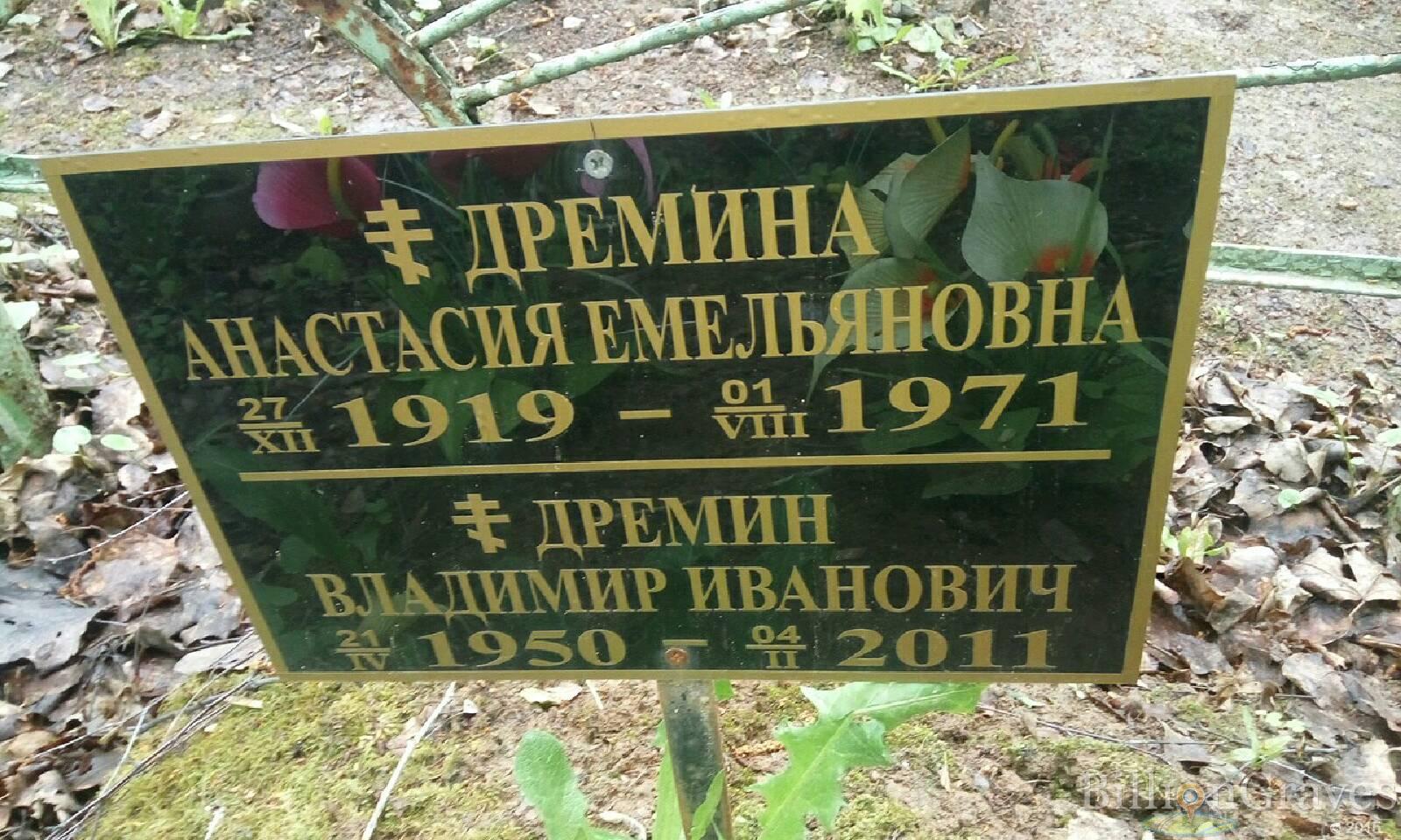 дремина анастасия емельяновна