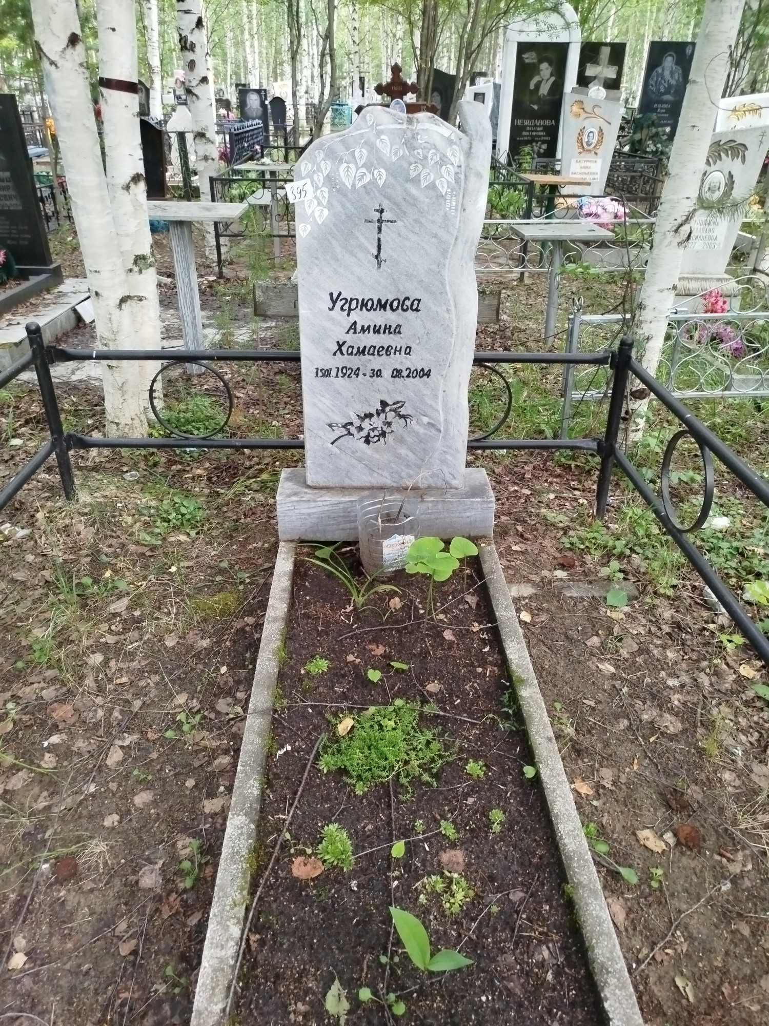 Угрюмова Амина Хамаевна