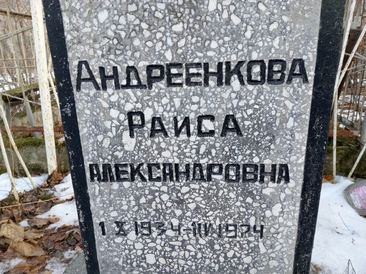 Андреенкова Раиса Александровна