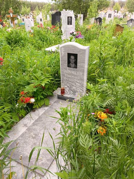 Абрамкин Николай Федорович