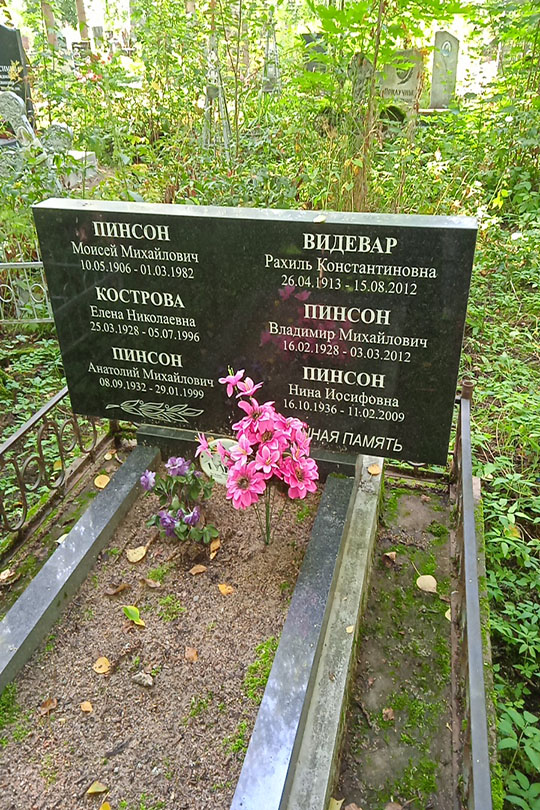 Кострова Елена Николаевна