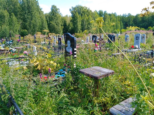 Комаров Николай Александрович