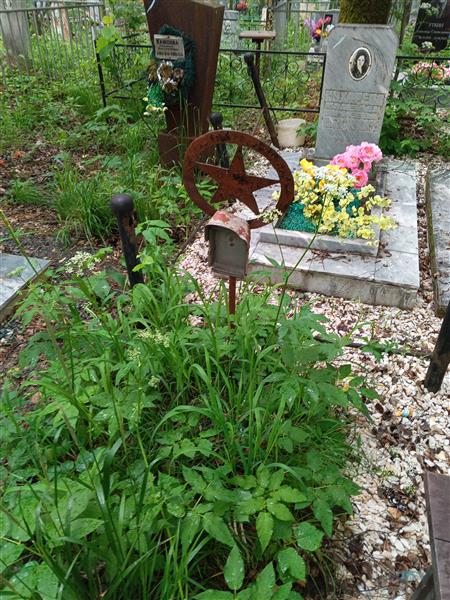 Медведев Николай Петрович