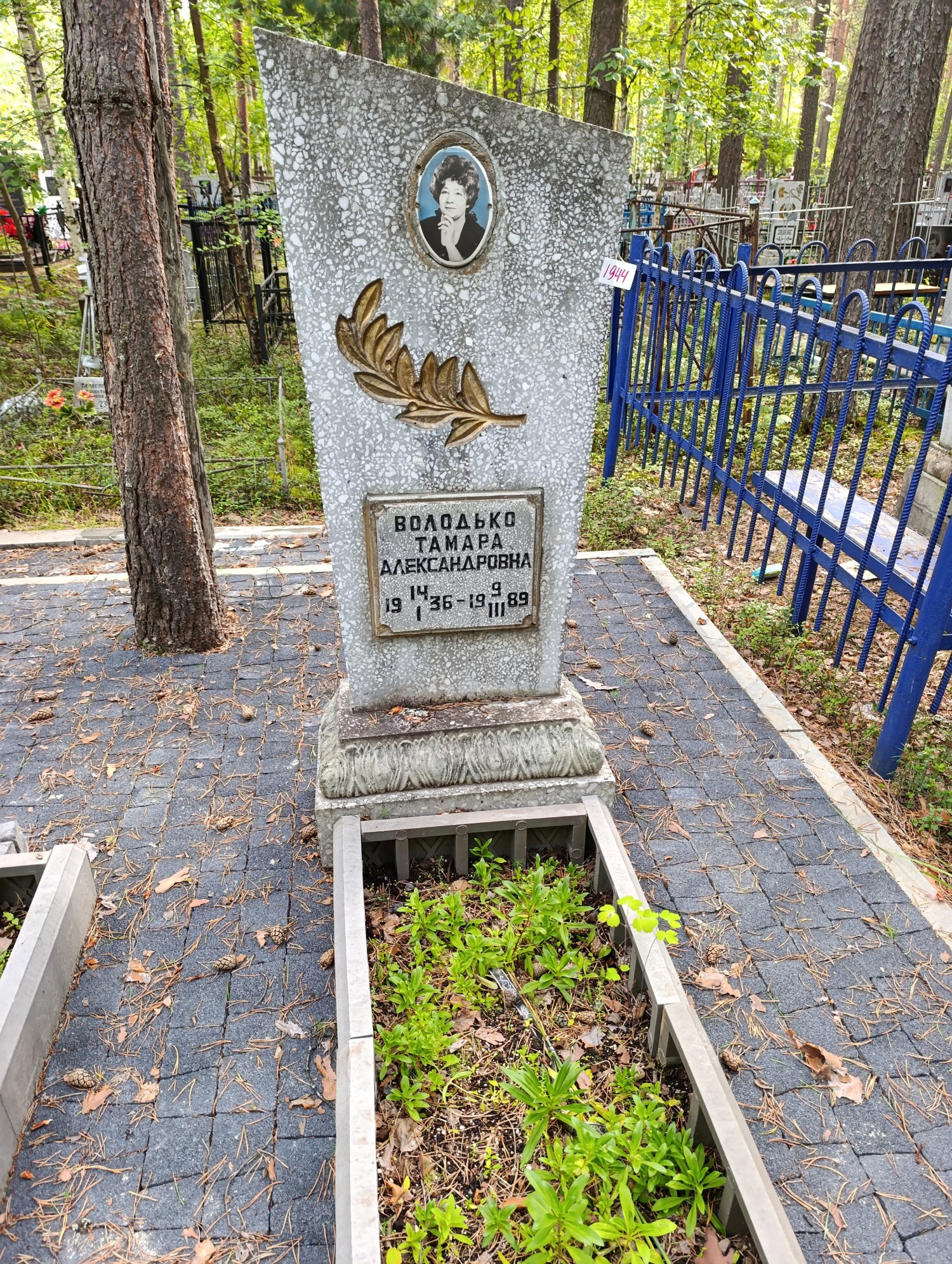 Володько Тамара Александровна