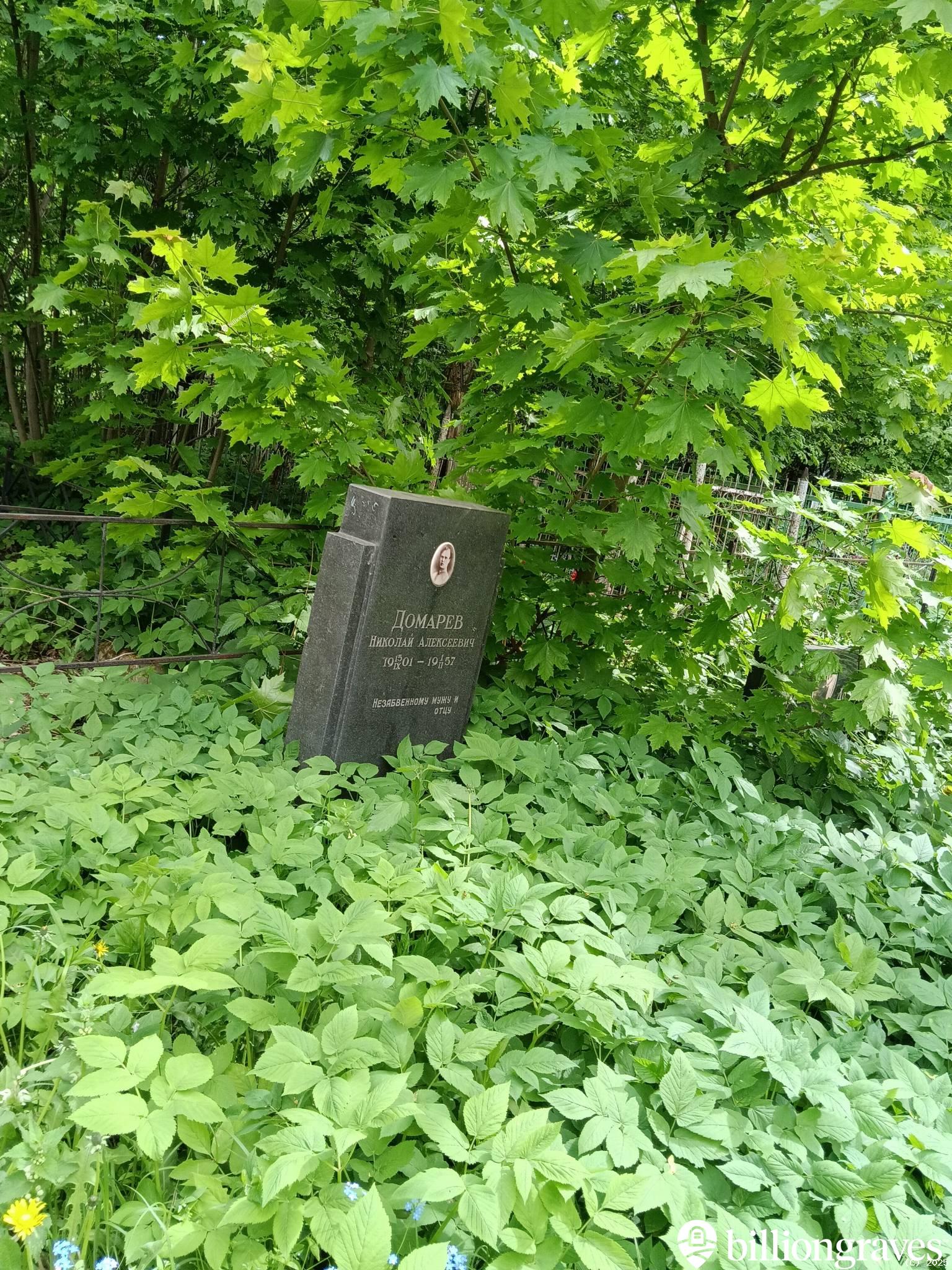 Домарев Николай Алексеевич