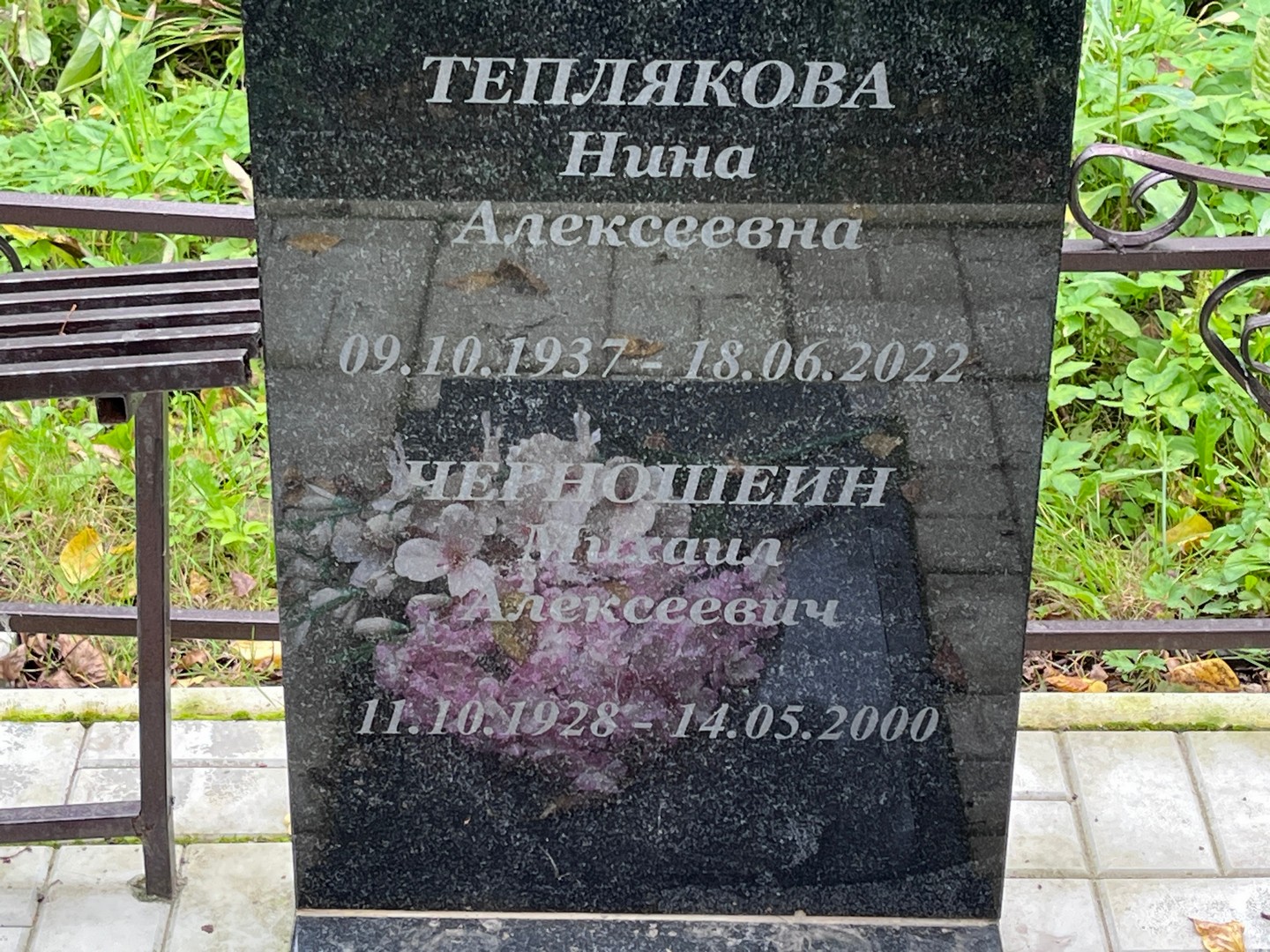 Черношеин