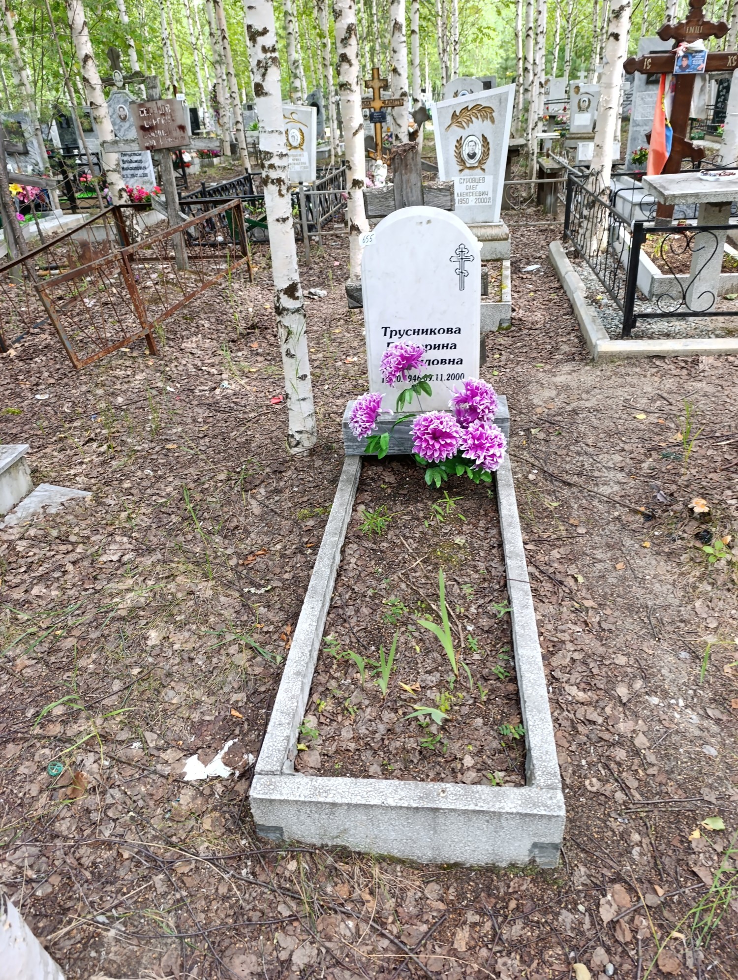 Трусникова Екатерина Михайловна