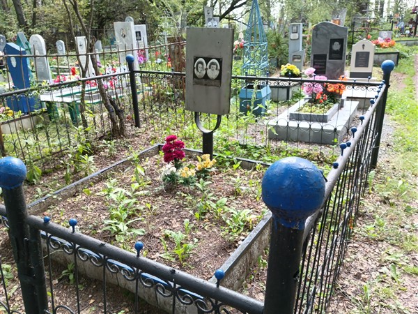 Романова Лариса Дмитриевна