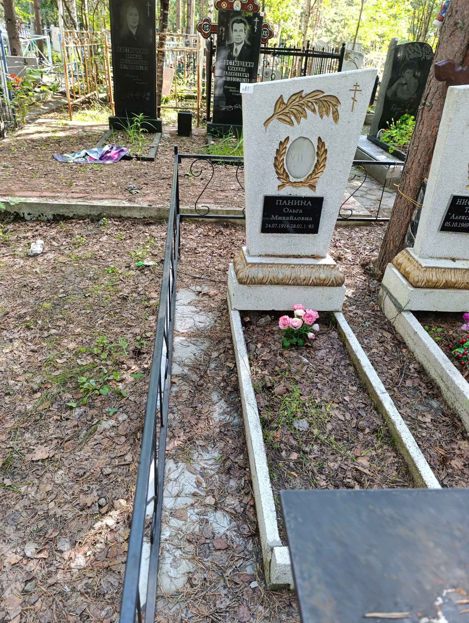 Панина Ольга Михайловна