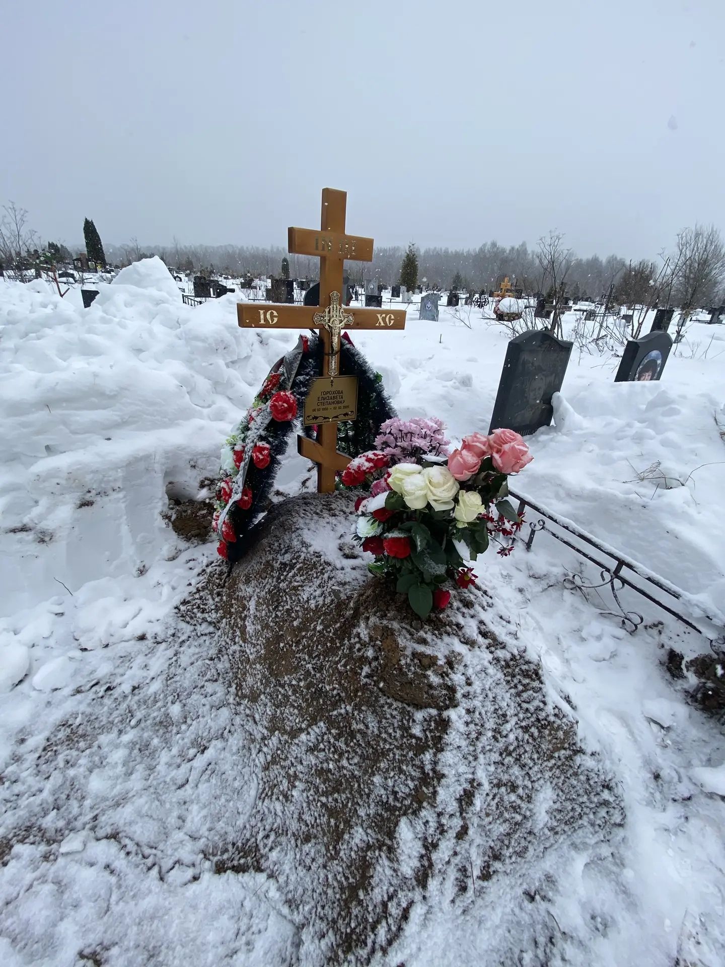 Горохова