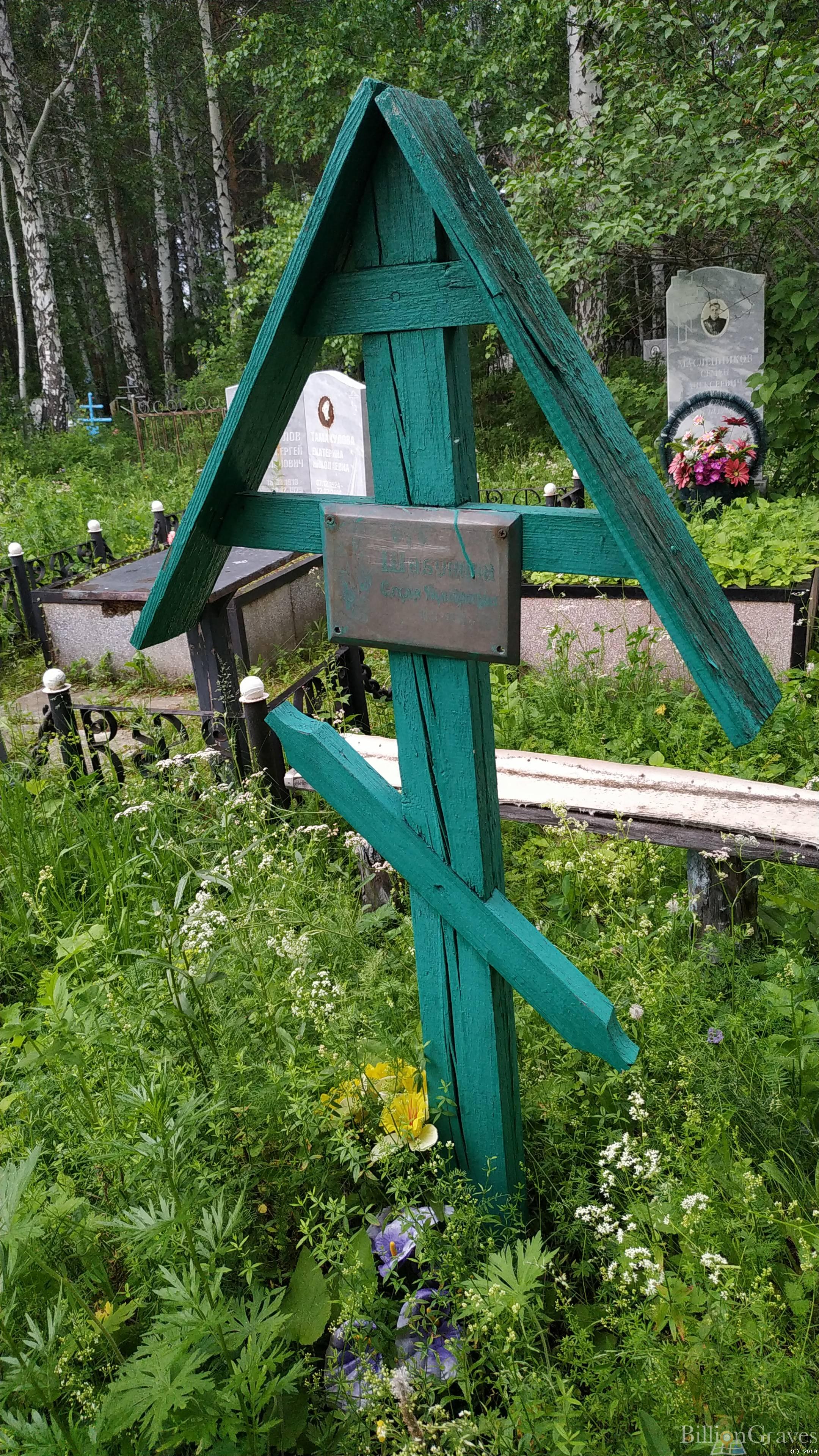 Шабунина Софья Дмитриевна