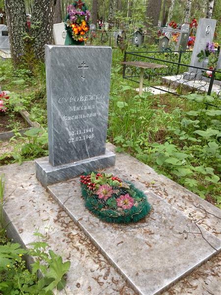Суровежко Михаил Васильевич