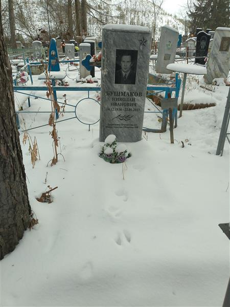 Бушмаков Николай Иванович