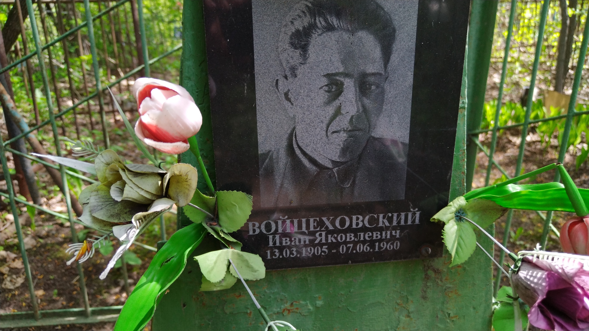 Войцеховский Иван Яковлевич