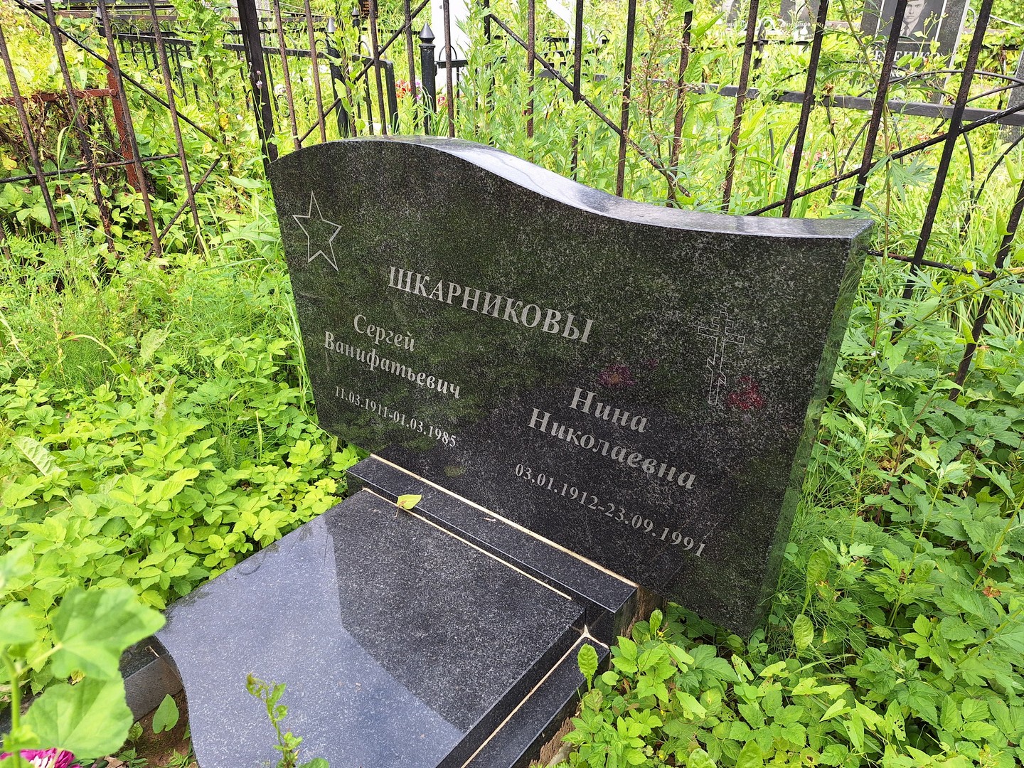 Шкарников