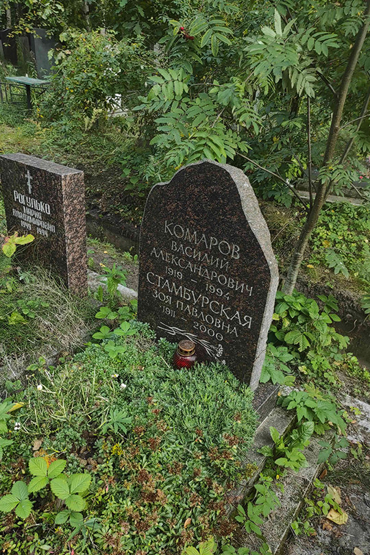 Комаров Василий Александрович