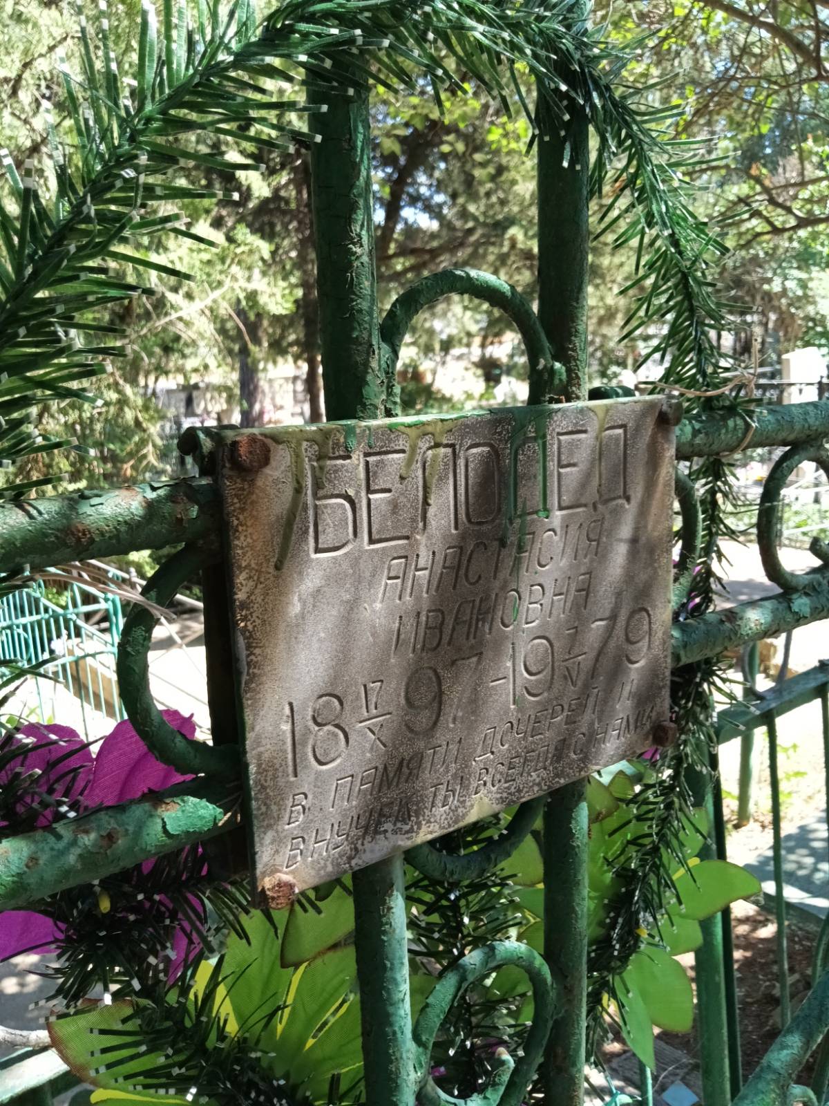 Белодед Анастасия Павловна