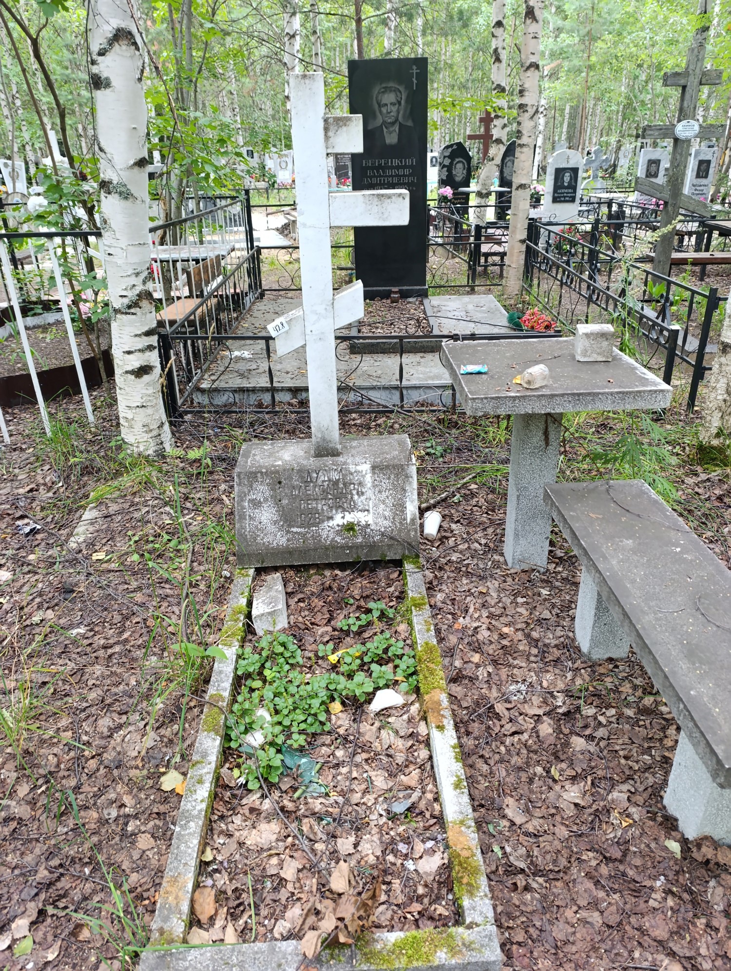 Дудка Александр Петрович