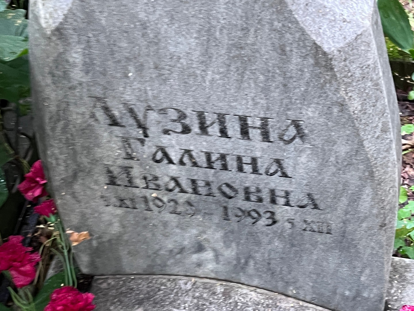 Лузина