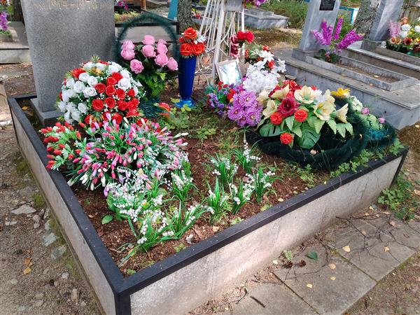 Азаров Дмитрий Андреевич