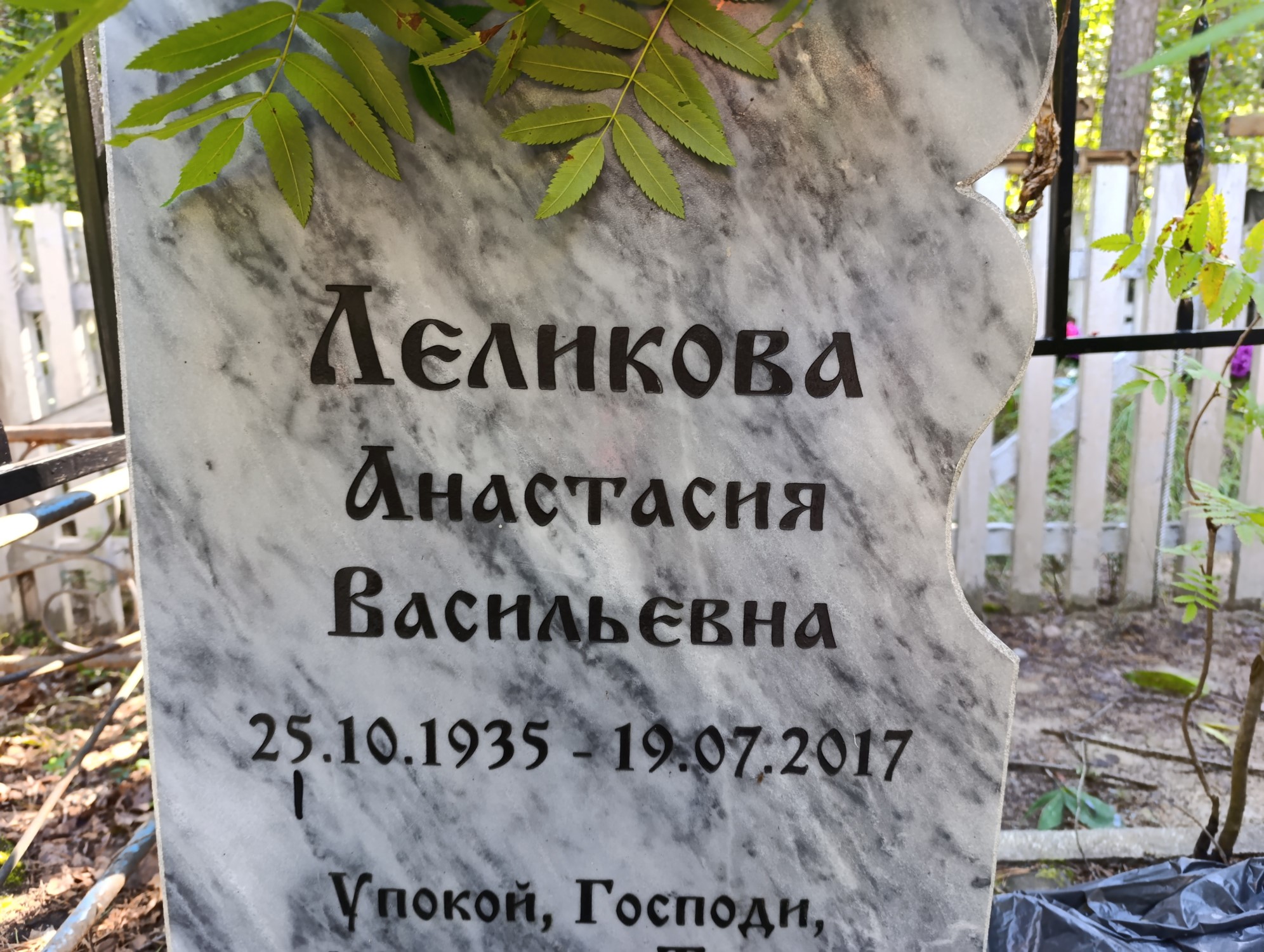 Леликова Анастасия Васильевна