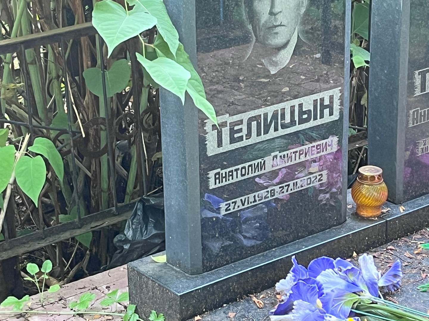 Телицын