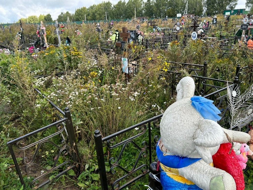 Елумахова Алевтина Петровна