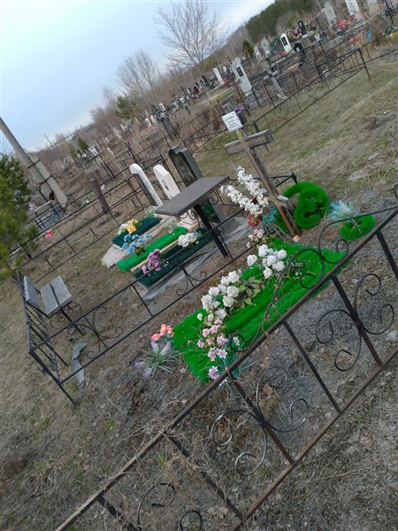 Харлашина Анастасия Андреевна