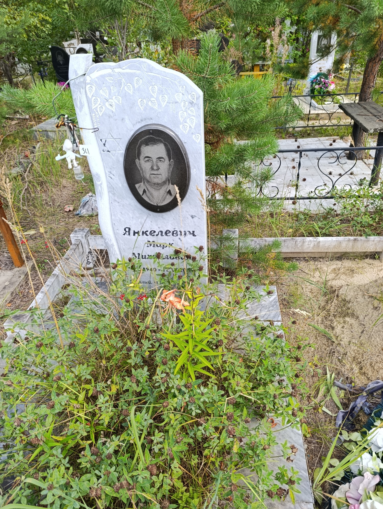 Янкелевич Марк Михайлович