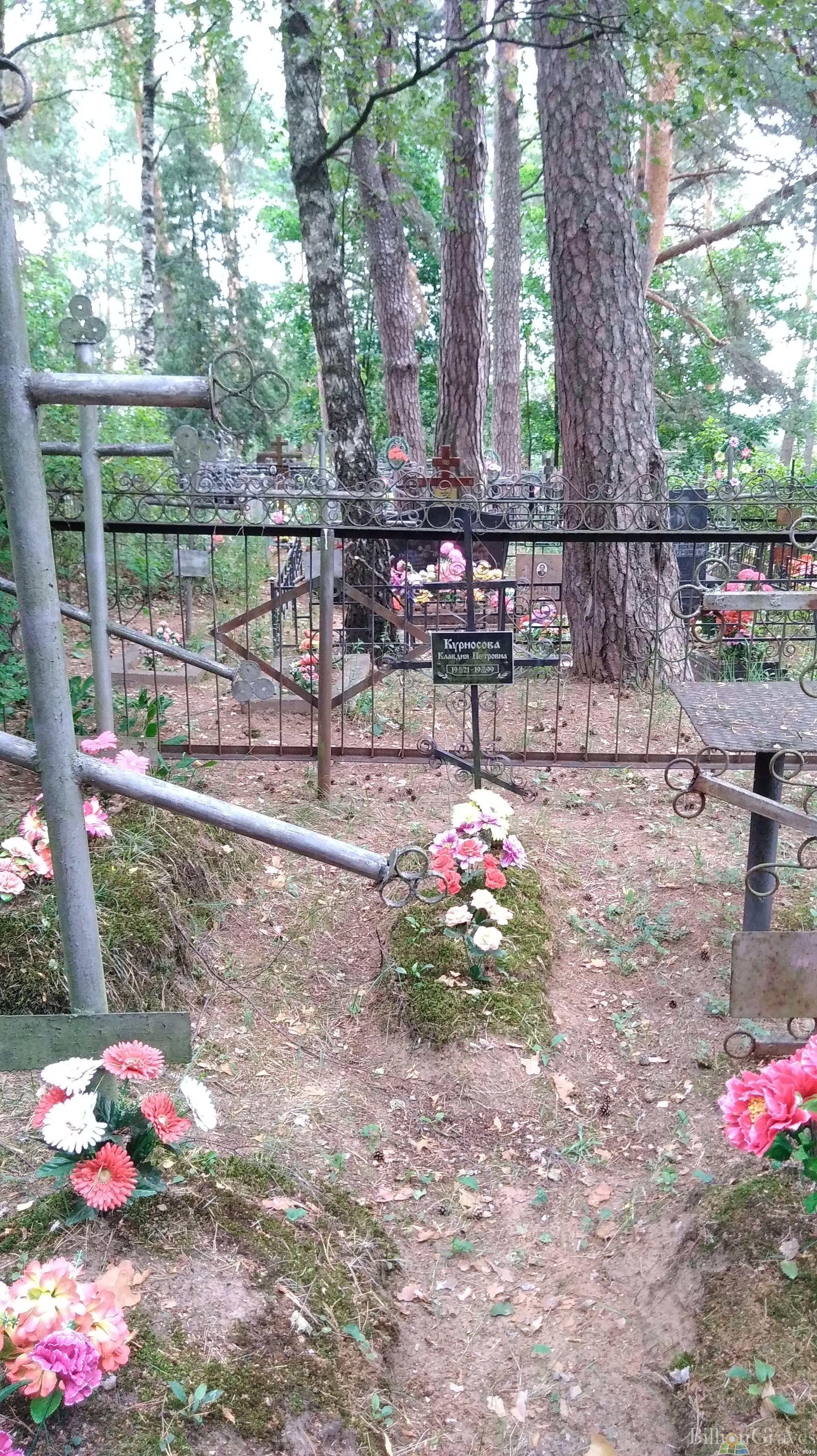 Курносова Клавдия Петровна