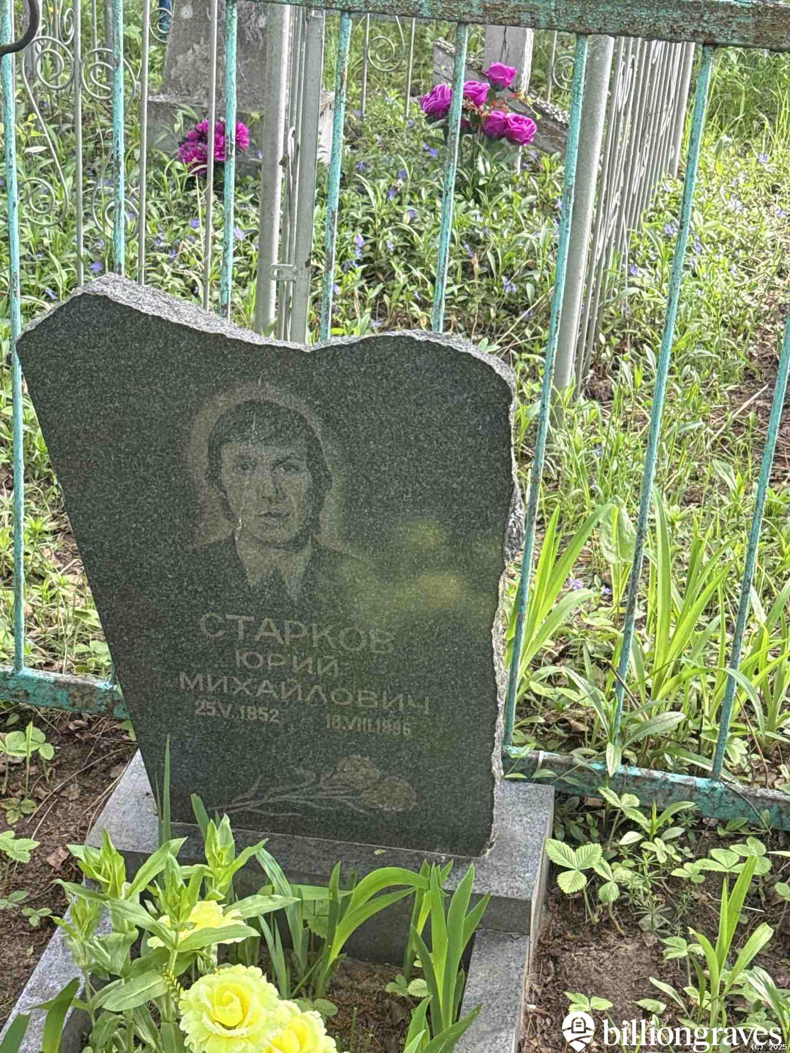 Старков Юрий Михайлович