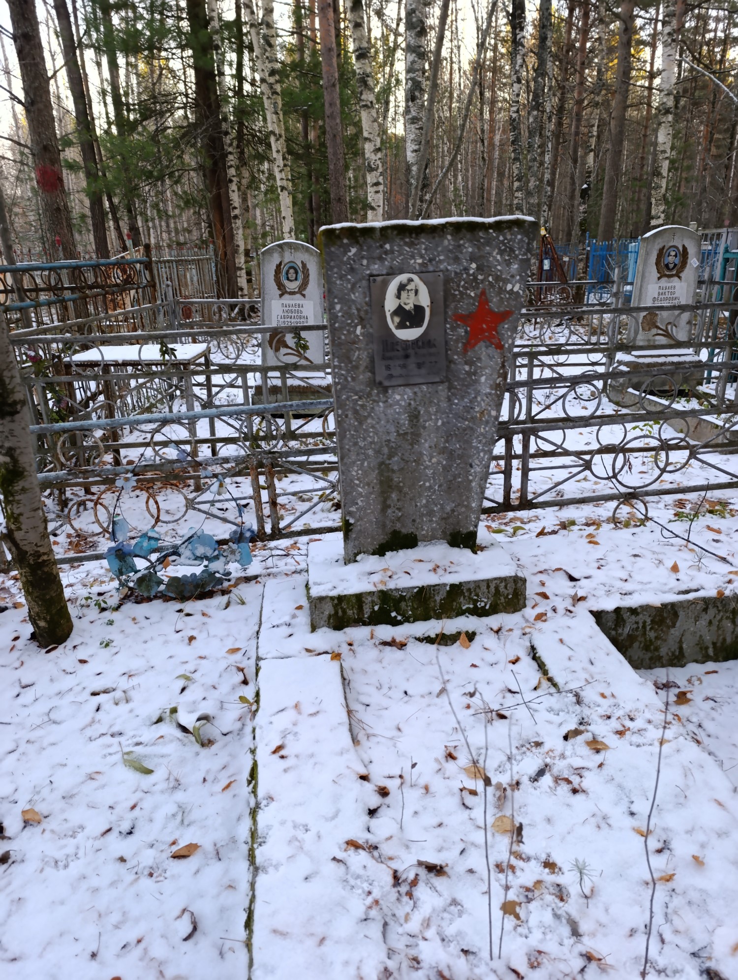 Плесовских Анатолий Юрьевич