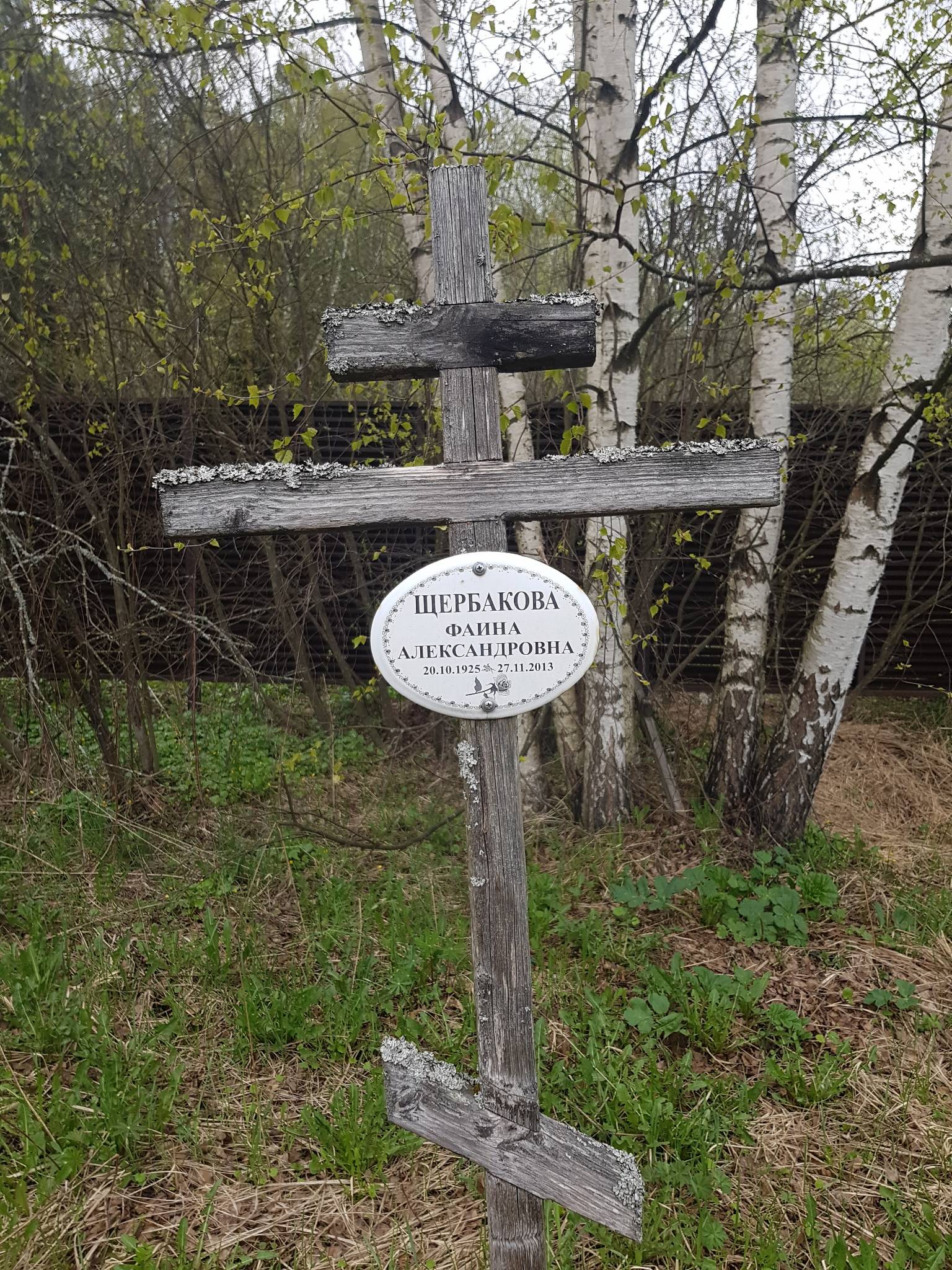 Щербакова Фаина Александровна