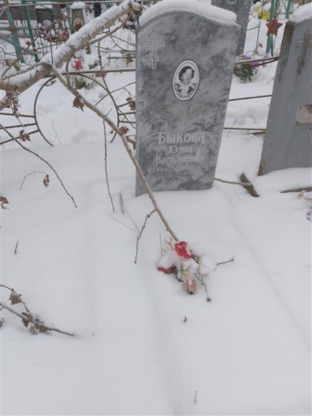 Быкова Юлия Васильевна