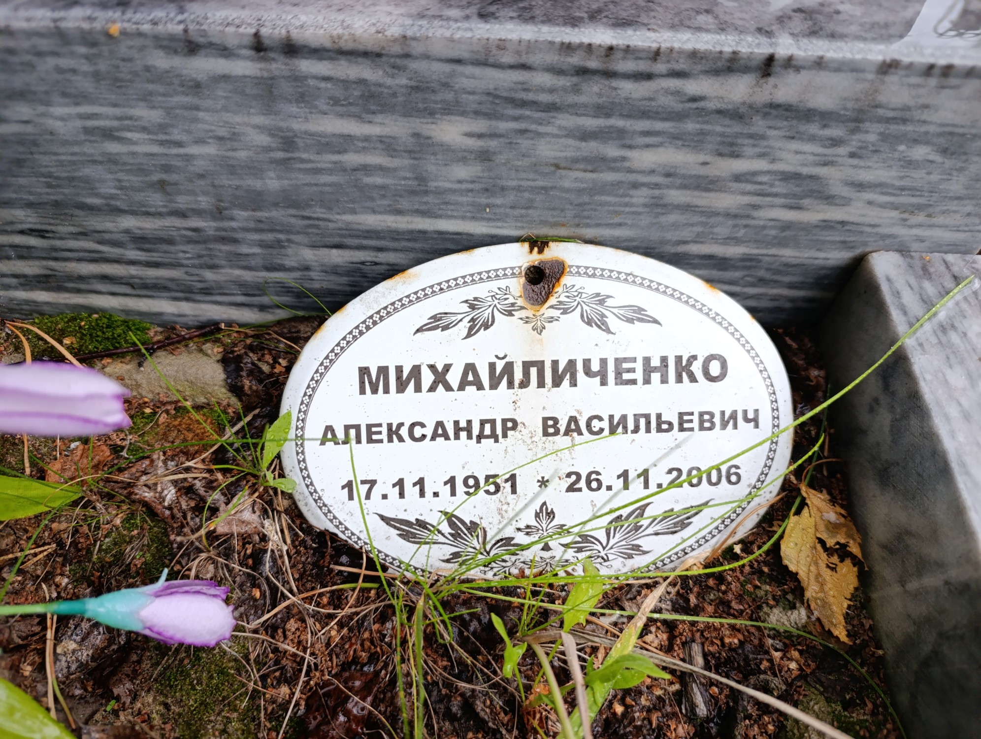 Михайличенко Александр Васильевич