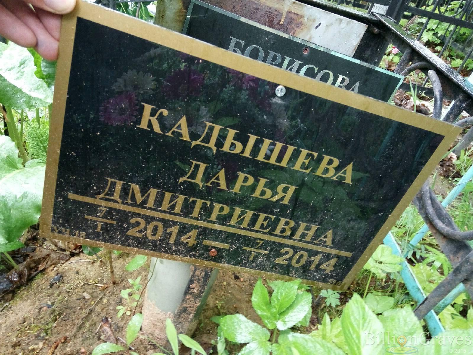 Кадышева Дарья Дмитриевна