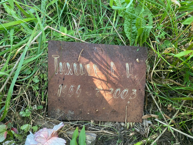 В Тихонов Н