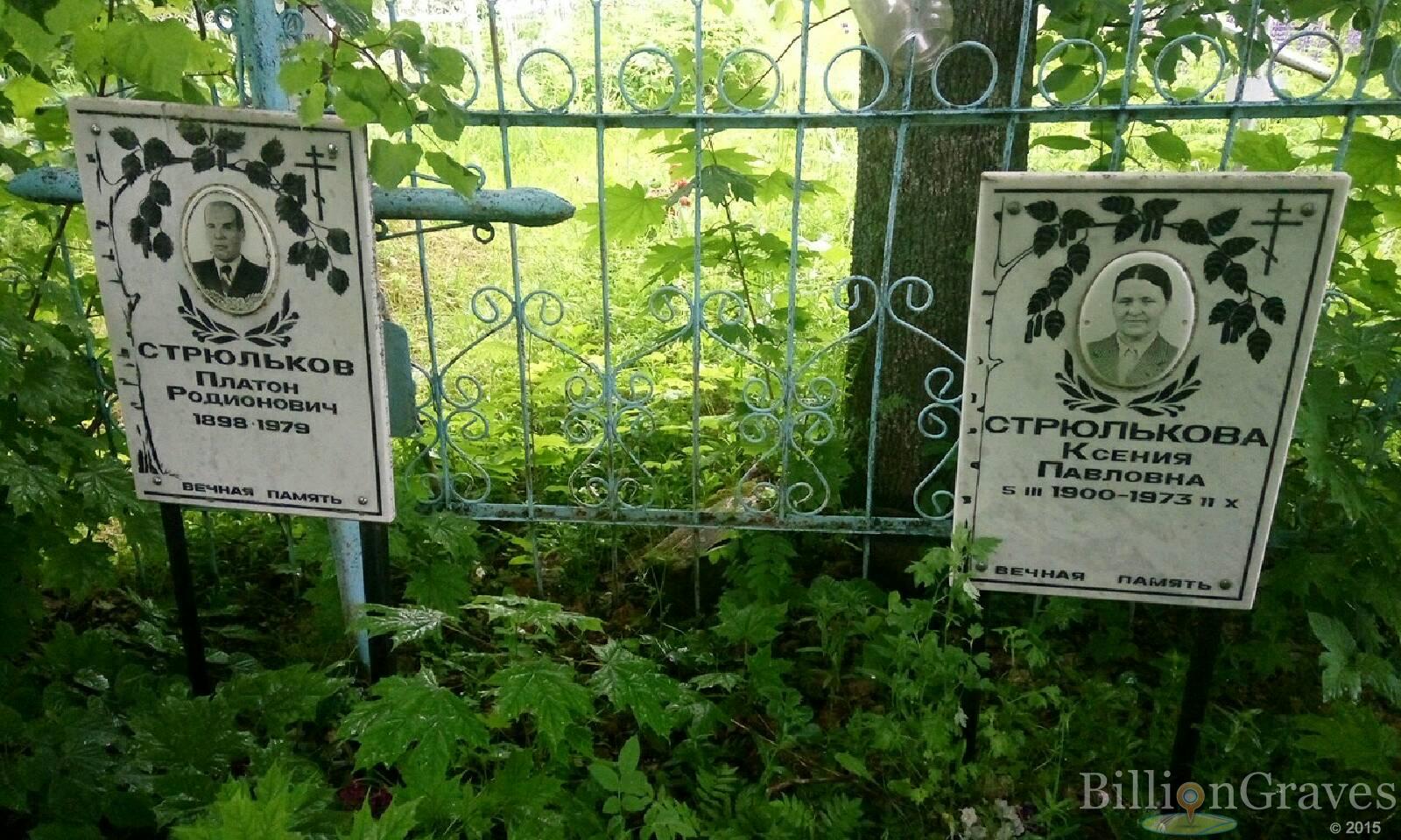 Стрюлькова Ксения Павловна