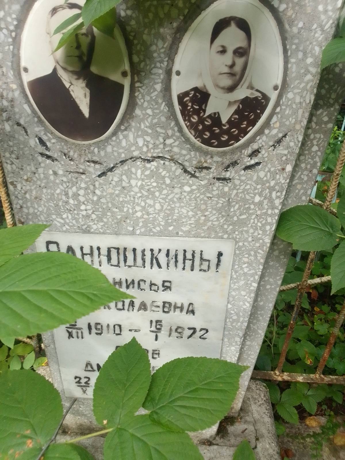 Ванюшкина Анисья Николаевна