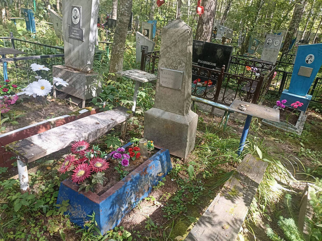 Баландина Елизавета Николаевна