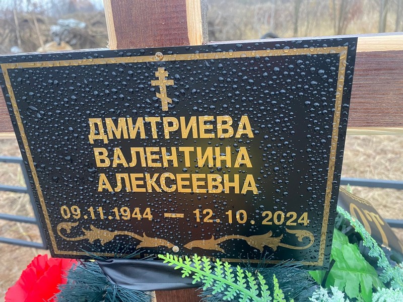 Дмитриева