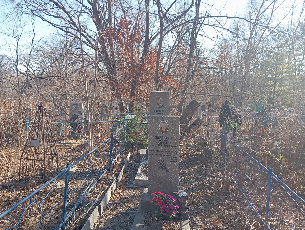 Нарбаева Ксения Андреевна