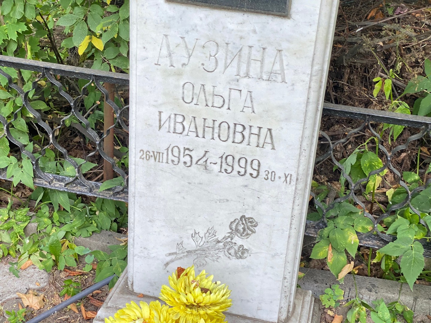 Лузина
