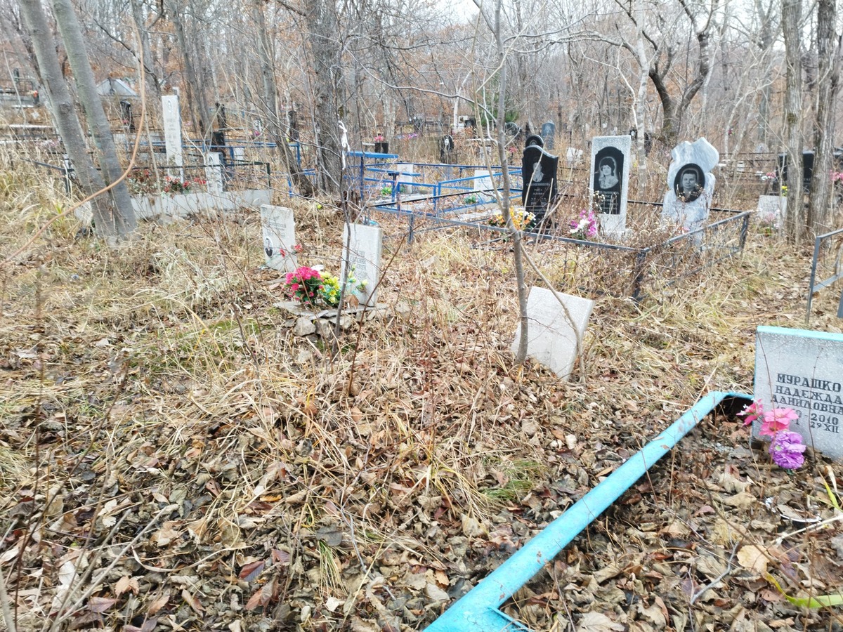 Захаров Александр Николаевич