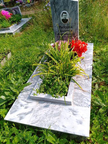 Петрова Анастасия Александровна