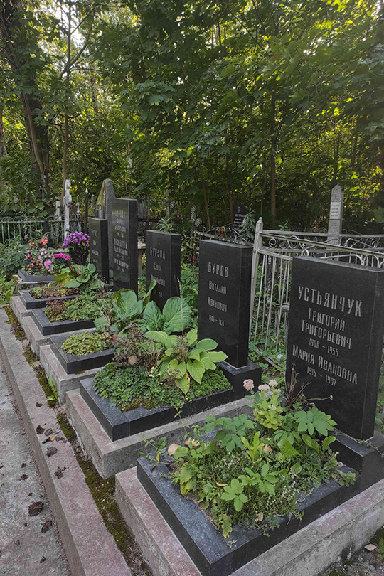 Васильев Георгий Васильевич
