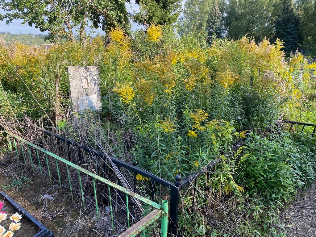 Субботин Виктор Васильевич