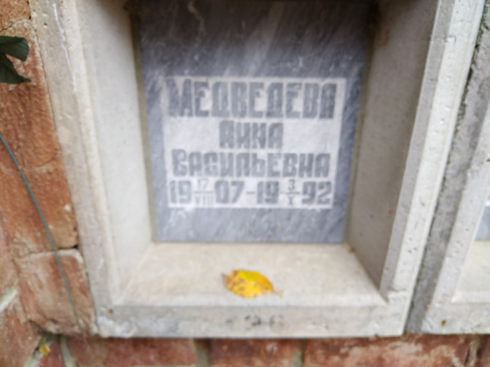 Медведева Анна Васильевна